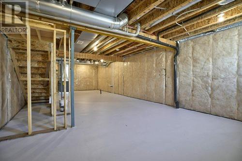 131 Legacy Reach Court Se, Calgary, AB - Indoor Photo Showing Basement