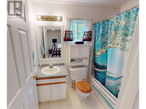 4632 Quesnel-Hydraulic Road, Quesnel, BC - Indoor Photo Showing Bathroom