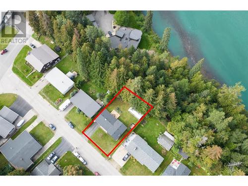 343 Pearkes Drive, Revelstoke, BC - Outdoor With View