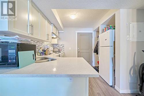 303, 1820 9 Street Sw, Calgary, AB - Indoor Photo Showing Kitchen With Double Sink