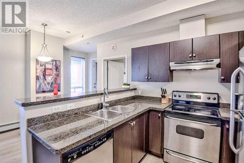 309, 1053 10 Street Sw, Calgary, AB - Indoor Photo Showing Kitchen With Stainless Steel Kitchen With Double Sink