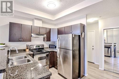 309, 1053 10 Street Sw, Calgary, AB - Indoor Photo Showing Kitchen With Stainless Steel Kitchen With Double Sink With Upgraded Kitchen