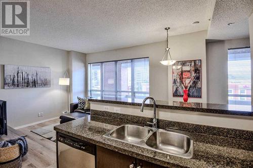 309, 1053 10 Street Sw, Calgary, AB - Indoor Photo Showing Kitchen With Double Sink