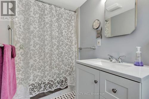 169 Old Ancaster Road, Hamilton, ON - Indoor Photo Showing Bathroom