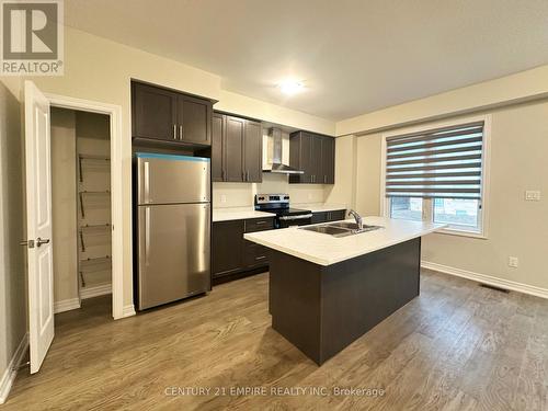 11 Mia Drive, Hamilton, ON - Indoor Photo Showing Kitchen With Stainless Steel Kitchen With Double Sink