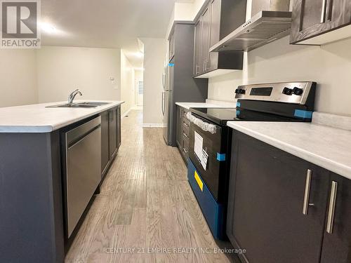 11 Mia Drive, Hamilton, ON - Indoor Photo Showing Kitchen With Double Sink