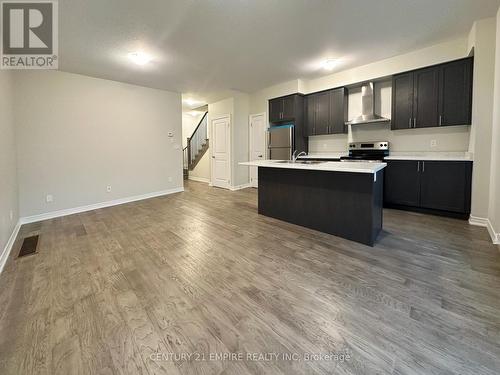 11 Mia Drive, Hamilton, ON - Indoor Photo Showing Kitchen