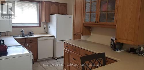 190 Norton Avenue, London, ON - Indoor Photo Showing Kitchen With Double Sink