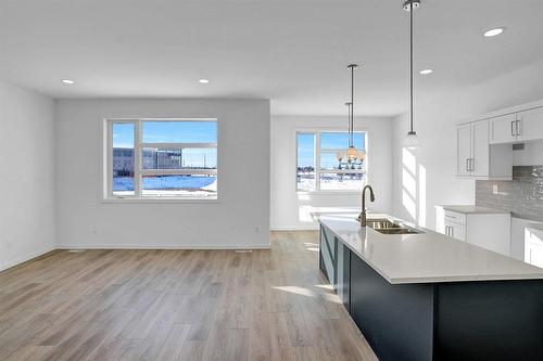 147 Grey Heron Drive, Winnipeg, MB - Indoor Photo Showing Kitchen With Double Sink