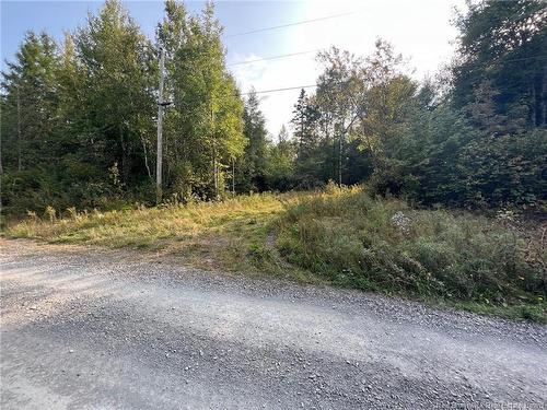 Vacant Lot Hurley Rd, Harvey, NB 