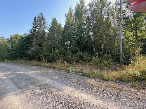 Vacant Lot Hurley Rd, Harvey, NB 