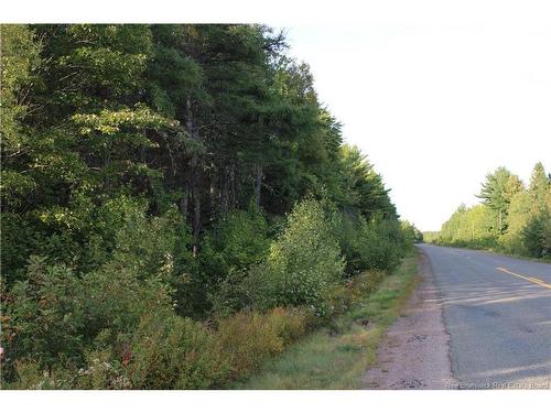 Lot Route 505 Rte, Sainte-Anne-De-Kent, NB 