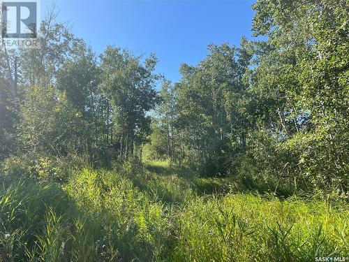 80 Acres Recreational Land, Foam Lake Rm No. 276, SK 