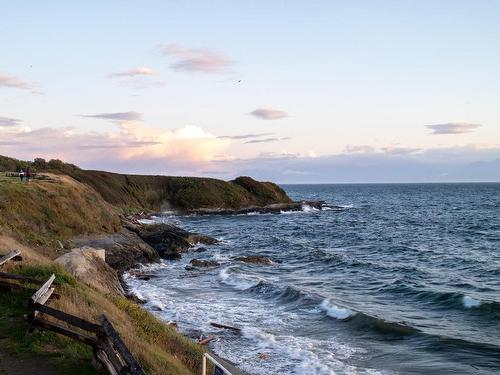 2-502 Dallas Rd, Victoria, BC - Outdoor With Body Of Water With View