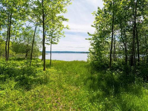 Land/Lot - 490 Ch. Lacroix, Sainte-Praxède, QC 