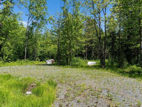 Land/Lot - 490 Ch. Lacroix, Sainte-Praxède, QC 