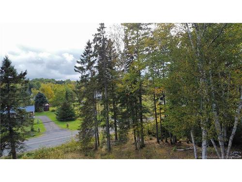 307 Doyleville Rd, Lorne, NB 