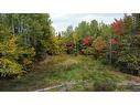 307 Doyleville Rd, Lorne, NB 