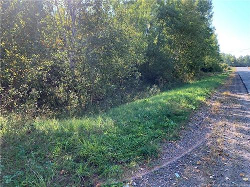 Vacant Lot Noel Rd, Belledune, NB 