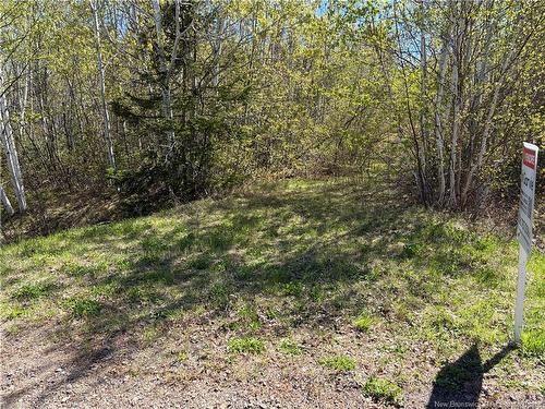 Vacant Lot Noel Rd, Belledune, NB 
