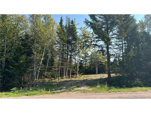 340 Breau Creek Rd, Memramcook, NB 