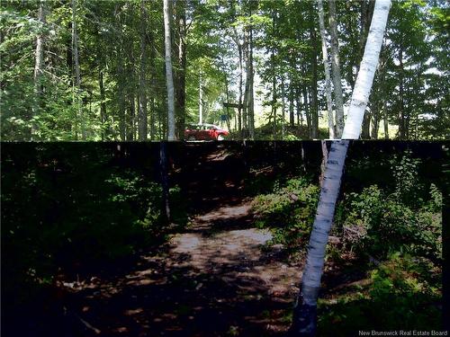 0 Lot 18, Upper Skiff Lake Rd. Rd, Canterbury, NB 