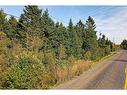 Lot 8 Kingsley Rd, Birdton, NB 