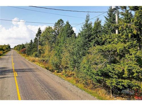 Lot 8 Kingsley Rd, Birdton, NB 