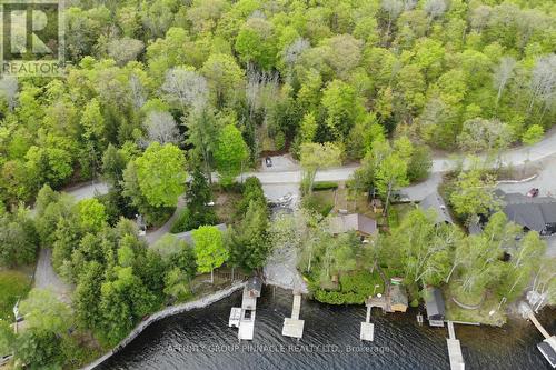 1403 Crystal Lake Road, Galway-Cavendish And Harvey, ON - Outdoor With View