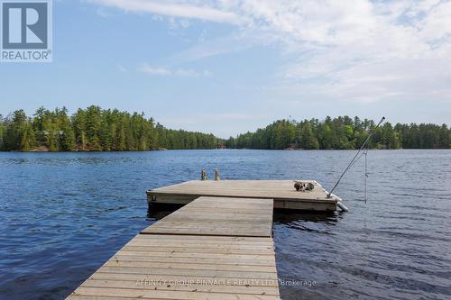 1403 Crystal Lake Road, Galway-Cavendish And Harvey, ON - Outdoor With Body Of Water With View