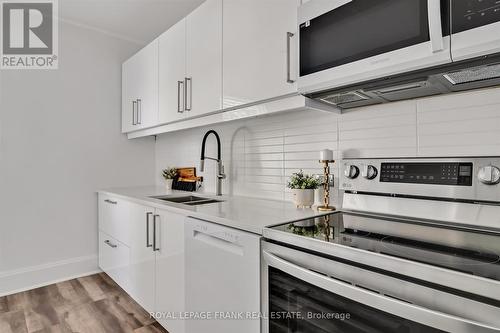 34 Reid Street, Smith-Ennismore-Lakefield (Lakefield), ON - Indoor Photo Showing Kitchen With Double Sink