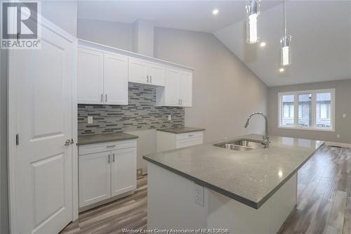 3559 Hallee, Windsor, ON - Indoor Photo Showing Kitchen With Double Sink