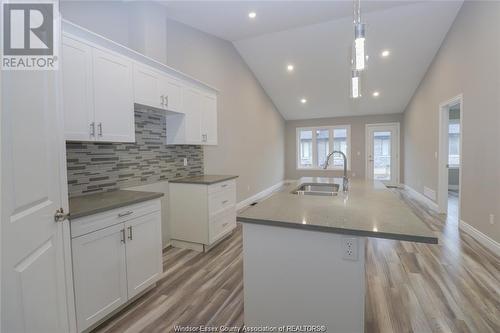 3559 Hallee, Windsor, ON - Indoor Photo Showing Kitchen With Double Sink With Upgraded Kitchen