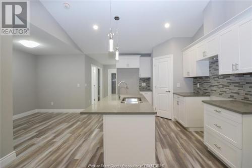 3559 Hallee, Windsor, ON - Indoor Photo Showing Kitchen With Upgraded Kitchen