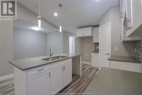 3559 Hallee, Windsor, ON - Indoor Photo Showing Kitchen With Double Sink