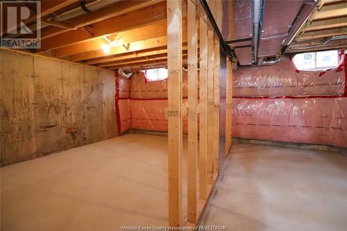 3559 Hallee, Windsor, ON - Indoor Photo Showing Basement