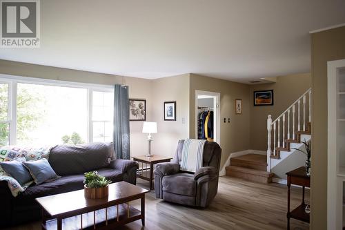 21 Hawker Crescent, Gander, NL - Indoor Photo Showing Living Room