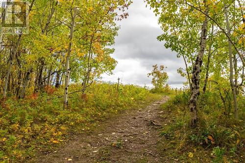 Beauitful aspens in every season.. - 6724 Ranchview Drive Nw, Calgary, AB 