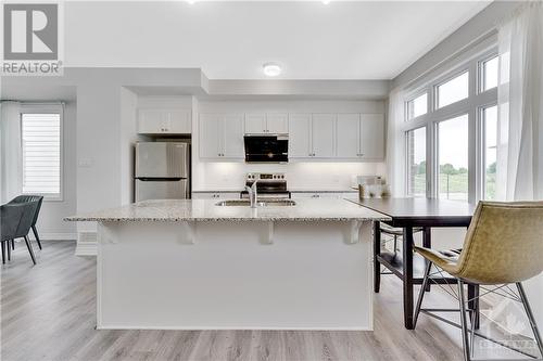 1412 Hemlock Road, Ottawa, ON - Indoor Photo Showing Kitchen With Upgraded Kitchen