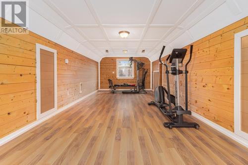 16 Huberts Place, Flatrock, NL - Indoor Photo Showing Gym Room