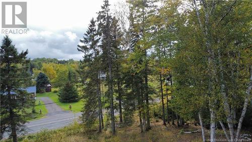 307 Doyleville Road, Lorne, NB 