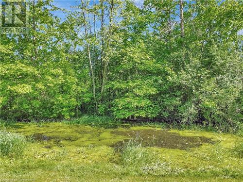 1961 5Th Concession Road W, Flamborough, ON - Outdoor