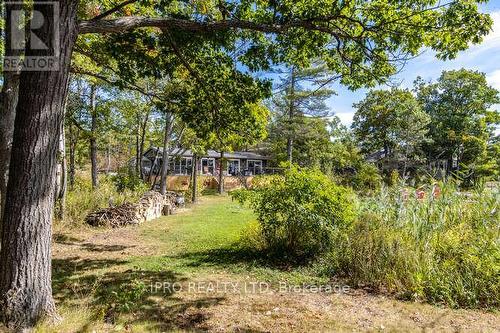 51 Harmony Road, Georgian Bay, ON - Outdoor