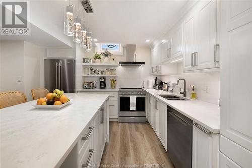 1628 Luxury Avenue, Windsor, ON - Indoor Photo Showing Kitchen With Double Sink With Upgraded Kitchen