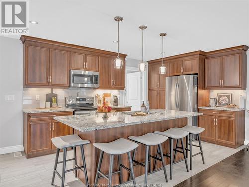 2249 Maitland Avenue, Windsor, ON - Indoor Photo Showing Kitchen With Upgraded Kitchen