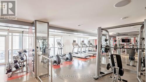 346 - 5 Hanna Avenue, Toronto, ON - Indoor Photo Showing Gym Room