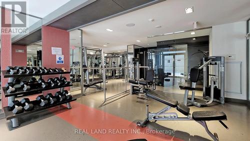 346 - 5 Hanna Avenue, Toronto, ON - Indoor Photo Showing Gym Room