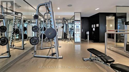 346 - 5 Hanna Avenue, Toronto, ON - Indoor Photo Showing Gym Room