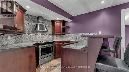 328 Plane Tree Drive, London, ON - Indoor Photo Showing Kitchen With Upgraded Kitchen