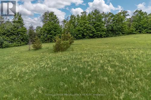 5035 Blessington Road, Tyendinaga, ON 